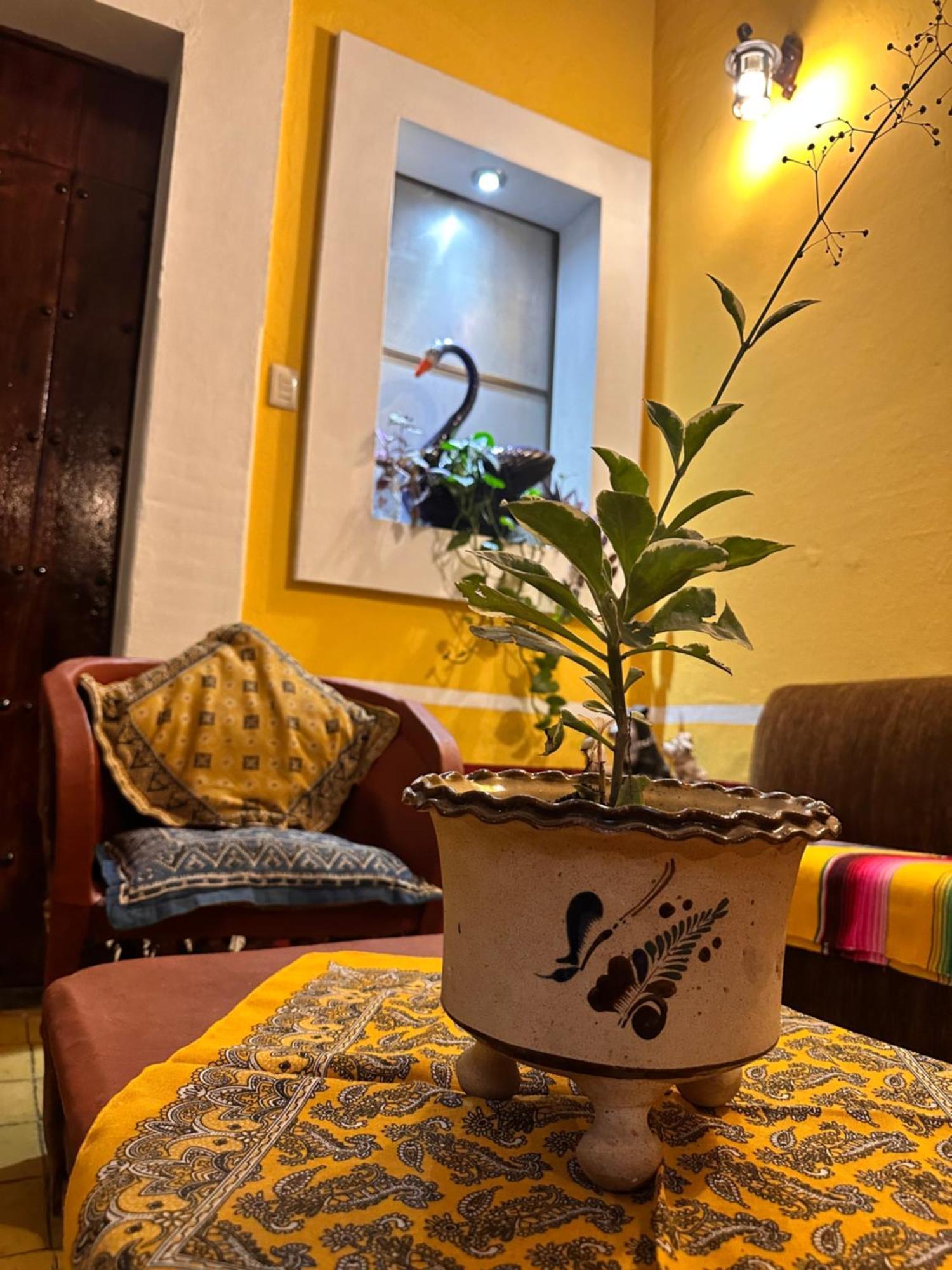 מסקוטה Copa De Oro Hotel Boutique מראה חיצוני תמונה