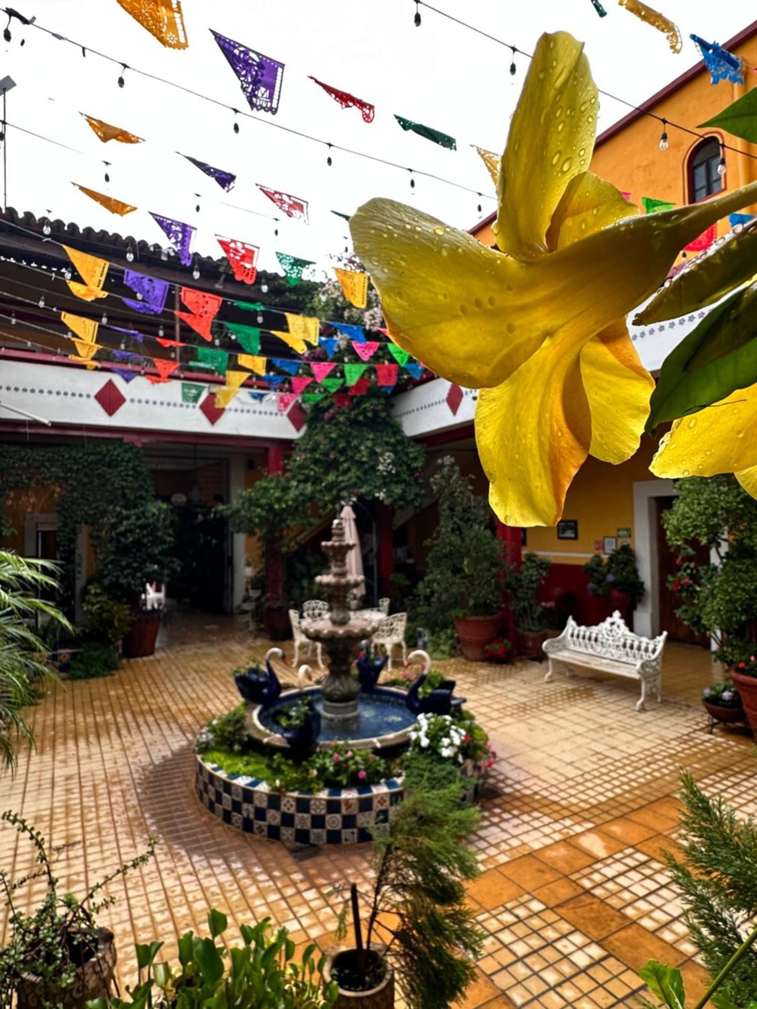 מסקוטה Copa De Oro Hotel Boutique מראה חיצוני תמונה